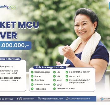 Paket MCU Silver