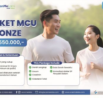 Paket MCU Bronze